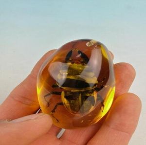 Zeldzame Amber Beetle Amber Beetle Pendant0123456789103703383