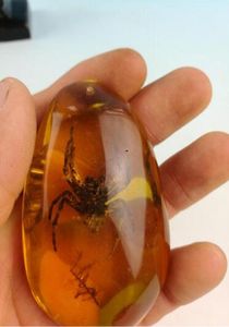 Rare Amber Spider Amber Spider Pendant0123456789104054859