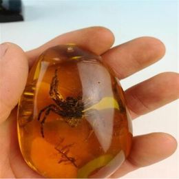Rare Amber Spider Amber Spider Pendant243r