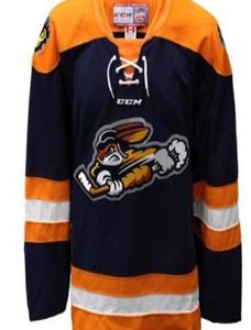 Zeldzame heren echt Volledig borduurwerk wit blauw ECHL 201617 Greenville Swamp Rabbits Hockey Jersey of aangepaste naam of nummer Jersey5025107