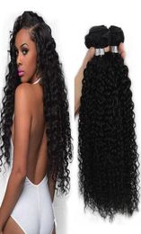 Raw Indien Mongol Péruvien Cheveux Brésiliens Crépus Bouclés Weave 4 PCS LOT Non Transformés Cheveux Humains Malaisiens Cheveux Bundles Kinky Curly9187031