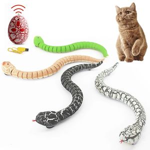 RC télécommande serpent jouet pour chat chaton contrôleur en forme d'oeuf crotale interactif serpent chat Teaser jouer jouet jeu Pet Kid 240229