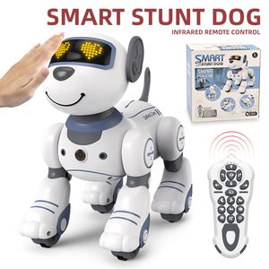 RC Robot RC Robot Smart Stunt Hond Elektronisch Dier Huisdieren Hond Spraakopdracht Programmeerbaar Muzieklied Robot Hondenspeelgoed voor kinderen RC speelgoed Geschenken 230705