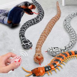 RC Snake Robots Toys for Kids Boys Boys Children Girl 5 6 7 8 ans Gift Remote Control Animaux Prank Simulation Electric Cobra 240523