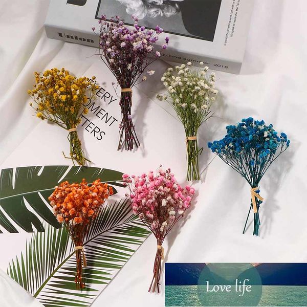 Flor feliz Real, pequeño ramo de flores secas naturales, prensa en seco, Mini fotografía decorativa, decoración de fondo de fotografía