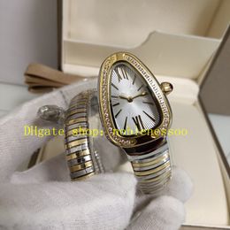 Foto real con caja de mujeres Relojes Damas plateadas Diamante Bisel Serpenti Tubogas cuarzo 18K Oro amarillo 102098 Relojes de mujeres de dos tono de acero inoxidable