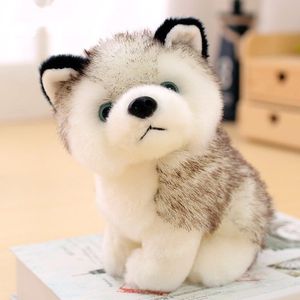 Jouet en peluche Husky réaliste, Animal en peluche doux, chiot mignon, Husky sibérien, figurine de poupée pour cadeau d'anniversaire de filles