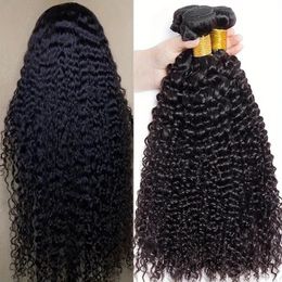 Rebecca Indian Kinky Curly Bundles Hair Natural Black Bundle 100% Remy Human peut acheter 3 ou 4 240408