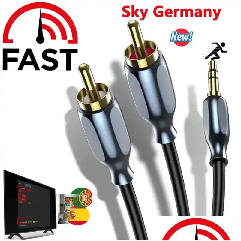 Récepteurs 8 lignes OSCAM CCCAM Cline stable Sever Fast Sever Sk-Y de avec ICAM Support en Allemagne pour DVB-S2 Satellite TV Receiver Drop Dever DH3XK