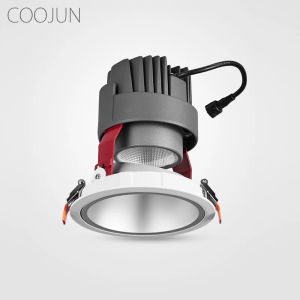 Verzonken Big Power 20W/30W Cob Led Down Light Villa Hotel Commercial Lighting High Lumen 1700/2550 Spotlight Plafond Light