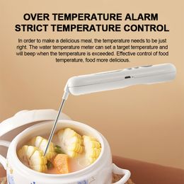 Thermomètre alimentaire rechargeable BBQ Cuisine Cuisine Food Temperature Mesure Outils Thermomètre de viande Thermomètre à four à four avec sonde