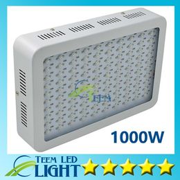 Lampe de culture à LED 1000W à haut rapport qualité-prix recommandée avec spectre complet à 9 bandes pour systèmes hydroponiques