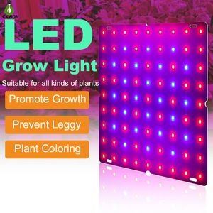 Rood Blue Spectrum Plant Grow Light 169/81 LED's 2835 Lampen Kralen Planten Groeilamp LED-verlichting met roestvrijstalen haak