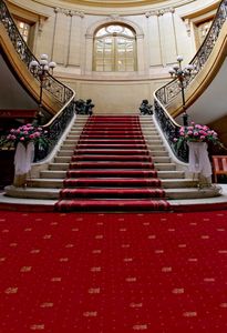 Tapis rouge escalier photographie de mariage toile de fond fleurs roses fenêtre mur arrière-plans Photo Studio photo stand accessoires papier peint