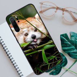 Red Panda Cute Animal Phone Case voor Huawei Honor Mate 30 40 50 20 8 70 5 9 10 Pro P X I S Y Lite Nova