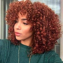 Brun rougeâtre Afro Kinky Curly Perruque de cheveux humains pour les femmes noires Cheveux brésiliens Volume complet Kinki Culry Aucun Lace Front Wigs auburn 2023 à la mode 150% Denisty 14 Inch Diva1