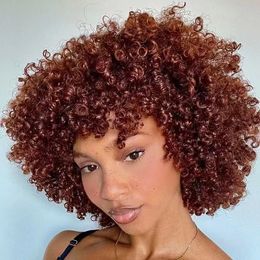 Roodachtig bruin gekleurde Afro kinky krullende pruiken gluueloze korte menselijke bob maagd haarpruiken met knal vol natuurlijke auburn kleur vooraf geplukte natuurlijke haarlijn