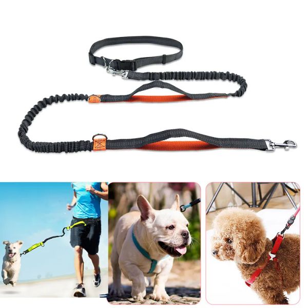 Réfléchissez la lumière flex chien laisses ceinture de course multifonction marcher un chien laisses collier chaîne fournitures pour animaux de compagnie harnais livraison directe ZZ