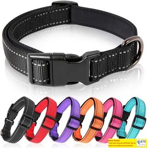 Reflecterende modehondkragen kleurrijke fade proof designer riem voor grote honden met zacht neopreen gevoerde ademende nylon puppy kraag