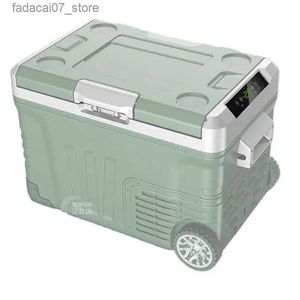 Réfrigérateurs Congélateurs 35L 50L petit réfrigérant de voiture portable petit congélateur 12 V/24 V DC 100-240 AC refroidisseur utilisé pour le camping-car en plein air Q240326