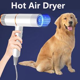 Remedies Secador de pelo para perros, soplador de pelo para mascotas, viento cálido, 1000w, enchufe europeo, aire caliente frío con calentador para cachorros medianos y pequeños