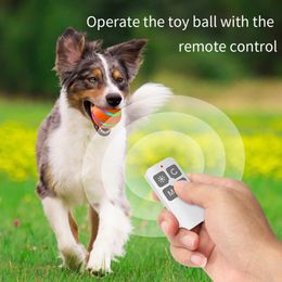 Lumières LED résistantes à la morsure à télécommande Pet Toy Interactive Rolling Ball Funny Electric Automatic Rotation Rotation Ball For Puppy