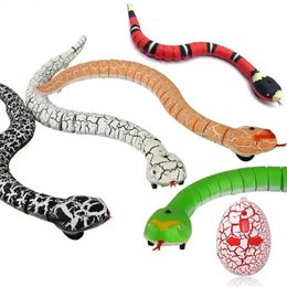 Serpents télécommandés détection intelligente serpent jouets interactifs USB charge crotale animal Teaser jouer RC animaux jouet 231229