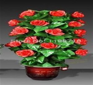 RemoteControl Bloeiende Bloem Bush 20 Bloemen Stage Magic Goocheltruc Gimmick Props250R8411627