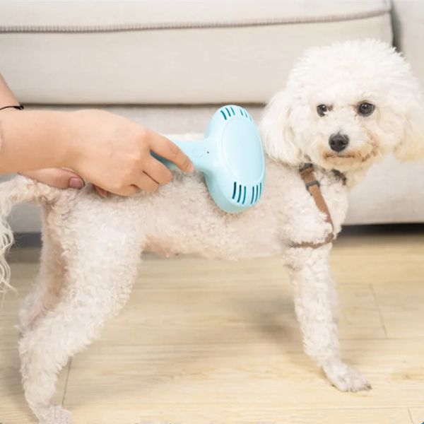 Remover pour chiens Brush pour animaux de compagnie électrique Repisser les chiens rechargeables Peigne pour nettoyage des cheveux pour chiens Repisser aspirateur