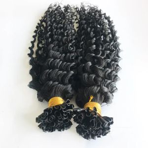 Remy Cheveux Natural Couleur bouclée Coiffure humaine malaisienne Pré-liaison U Conseils de ongles dans les extensions de cheveux 100 mèches pour femmes