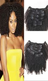 Extensions de cheveux naturels Remy avec clips, 4a, cheveux afro-américains mongols, crépus et bouclés, 824 pouces, FDSHINE3130379