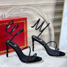 René Caovilla Margot Jewel Sandales en cuir Luxury Femmes High Heels Chaussures Twining Sandale élégante avec boîte 508