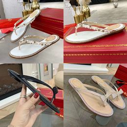 René Caovilla Slippers Designer Dress Chaussures Perle Eau Perle Diamond Decoration Fashion Womens Casual Beach Sandals Flip Flip