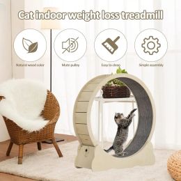 Tapis de course répulsif pour chat, roue en bois, exercice de course à pied, entraînement pour petit chien, anti-dépression, sport d'intérieur pour animaux de compagnie, jouet pour chaton, chiot