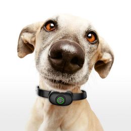 Répulsifs pour chiens de compagnie, collier d'entraînement scientifique pour obéissance, petits, moyens et grands chiens, collier d'entraînement automatique USB