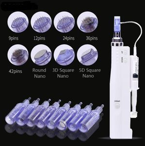 Vervangende naaldcartridge met buis voor 2 in 1 draadloze waterinjector AUTO Microneedle Derma Pen Combineren Meso Gun1211313