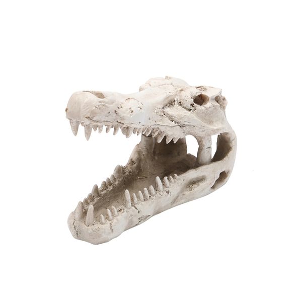 Reptile cadeau crâne fournitures pour animaux de compagnie Aquarium ornement jouant au repos Animal résine artisanat paysage maison abri 240226
