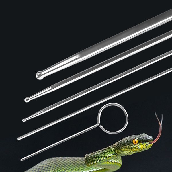 Fournitures pour reptiles, Kit de sondes de serpent, 6 pièces, pointe à bille ronde, ensemble de sondes de sexage professionnelles pour reptiles, détecteur de genre 230923