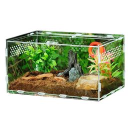 Reptielbenodigdheden Acryldoos voor spinnen Schildpadhagedis Kweekinsectenventilatieopeningen Schuivend terrarium voor kleine huisdieren Vivarium 230923