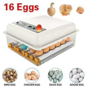 Reptile Supplies Brooder Hatchery Egg Incubatores Incubatores automatiques avec Turner pour Farm Hatching Oie Caille Chicken Eggs Hatcher Machine 230802