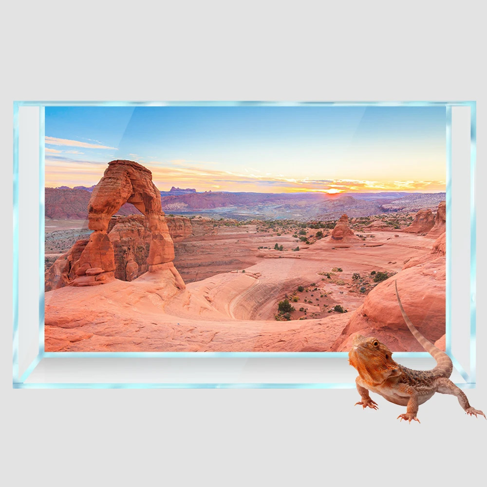 Forniture per rettili Habitat Acquario Sfondo Desert Red Rock Stampa 3D HD Carta da parati Acquario Decorazioni per fondali PVC Paesaggio Poster 231211
