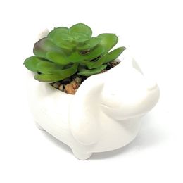 Reptile Supplies Mark 43" H Plante succulente en céramique blanche pour chien - Plantes artificielles au design moderne et simple et élégant - 230920