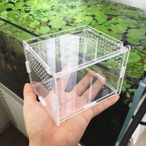 Reptile Supplies boîte acrylique transparente Terrarium pour reptiles et amphibiens cricket tortue araignée escargot abri en verre terarium terraria gecko 230627