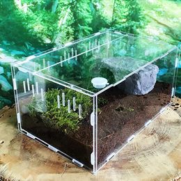 Reptielbenodigdheden Transparant Groot Duurzaam Acryl Terrarium Box Huisdier Voor Koudbloedige Dieren Insect Woondecoratie 230923