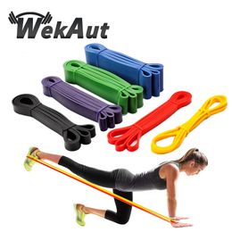 Bandas de resistencia Banda elástica Expansor de ejercicio Elástico Fitness Pull Up Assist para entrenamiento Pilates Home Gym Workout Gift 230606