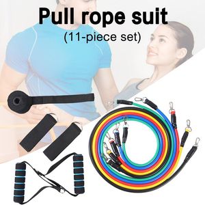 Bandes de résistance Ensemble d'exercices en gros Sports de plein air Intdoor Haltérophilie Yoga Pilates Abs Stretch Fitness Gym à domicile