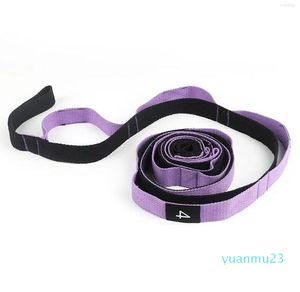 Bandes de résistance Yoga Stretch Strap Corde anti-gravité aérienne avec boucles de préhension Équipement de fitness Est 33