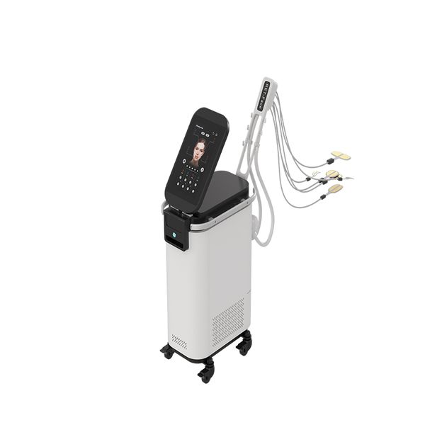 Machine RET pour le lifting du visage, stimulation électronique EMS, masseur musculaire du visage, salon de beauté, spa, coussinets raffermissants, sculpture magnétique, thérapie RES HET, prix de vente