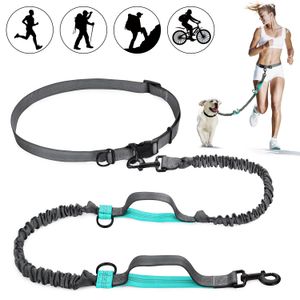 Intrekbare handsfree hondenriem met dubbele bungees voor honden tot 150lbs, verstelbare heupgordel, reflecterende stitching leiband voor hardloopwandeling