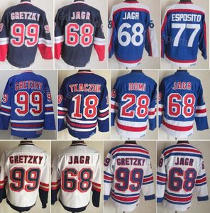 Retro Hockey 91-92 Vintage 18 Walt Tkaczuk Jersey CCM 99 Wayne Gretzky 68 Jaromir Jagr 77 Phil Esposito 28 Tie Domi Classic 75th Anniversary Retire Herenborduurwerk
